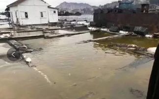 不造謠不傳謠，我們用事實(shí)說話 內(nèi)陸水產(chǎn)養(yǎng)殖銷售的現(xiàn)狀與前景