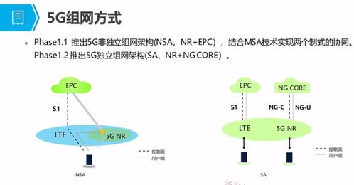 5G培訓(xùn)應(yīng)用篇一 5G概述、發(fā)展與演進(jìn)及人體干細(xì)胞技術(shù)的開發(fā)與應(yīng)用