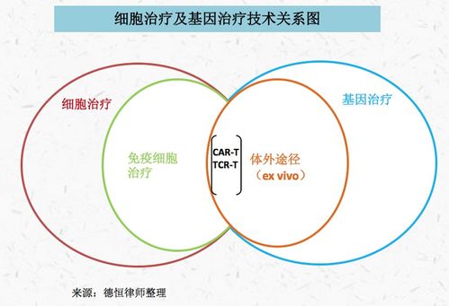 德恒律師事務(wù)所的專業(yè)視角 人體干細(xì)胞技術(shù)在北京與重慶的開發(fā)與應(yīng)用法律實務(wù)