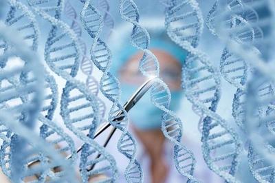 中國科學家靶向編輯長壽基因 讓老弱血管重獲“Q彈爽滑”，樹立干細胞技術新里程碑