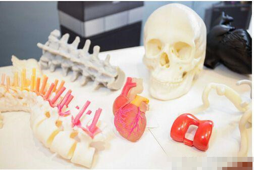 3D打印的四大醫療應用與人體干細胞技術開發的前沿展望